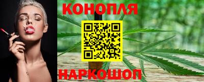 гидропоника Будённовск